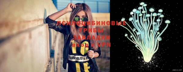дживик Мегион