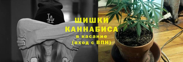 не бодяженный Медногорск