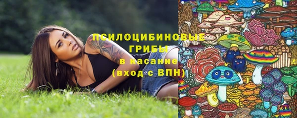 соль курить ск Михайлов