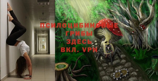 шишки Михайловка