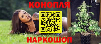 PSILOCYBIN Кингисепп
