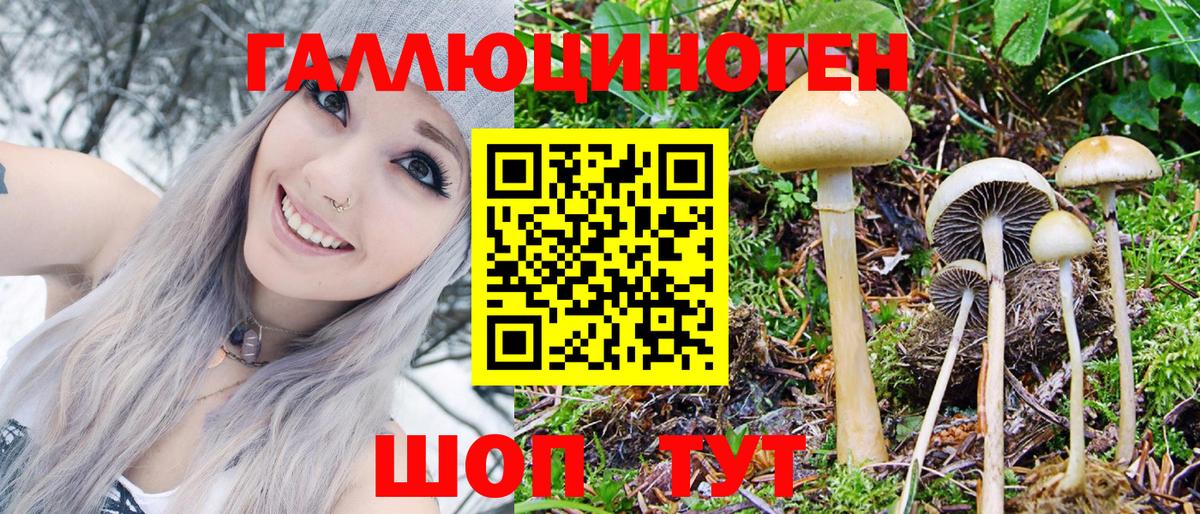 Псилоцибиновые грибы GOLDEN TEACHER Полысаево