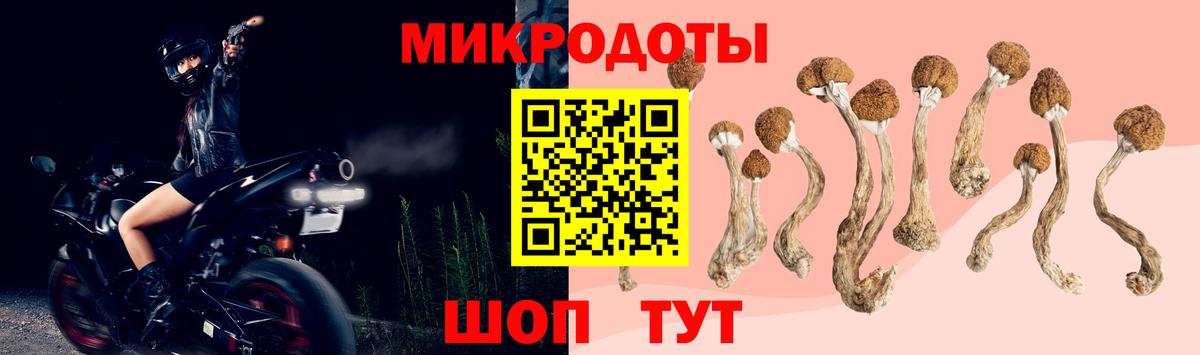Псилоцибиновые грибы GOLDEN TEACHER  Вход с VPN  Галлюциногенные грибы мицелий  купить   Полысаево 